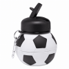 Soccer Water Bottle