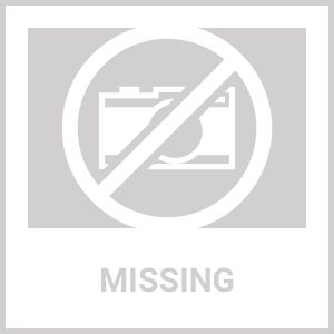 Scale Remover with Cap Fish Scales Remover Cleaner Skinner Fast