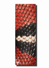 The Animal Series Yoga Mat (Comes in Different Designs) (Option: The Snake)