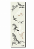 The Rock Series Yoga Mat (Comes in Different Designs)