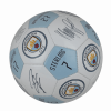 Licensed soccer balls