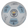 Licensed soccer balls