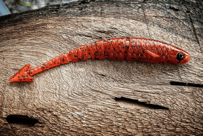 Warbird (Color: Tribe Oneida (Fire Craw), size: 5.5)