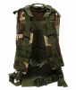 Tactical Military 25L Molle Backpack