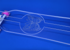 Butterfly Skateboard