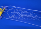 Jellyfish Skateboard